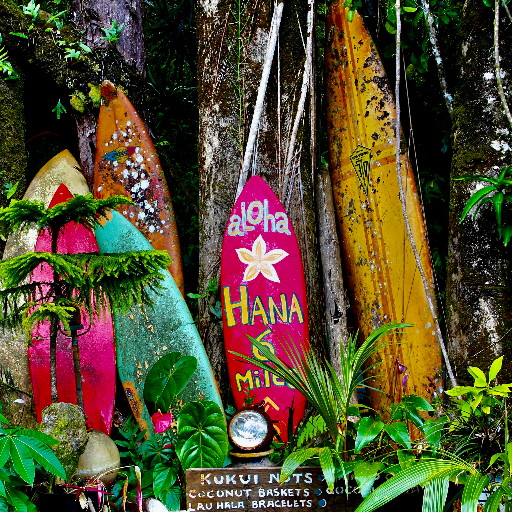 Haiwaien